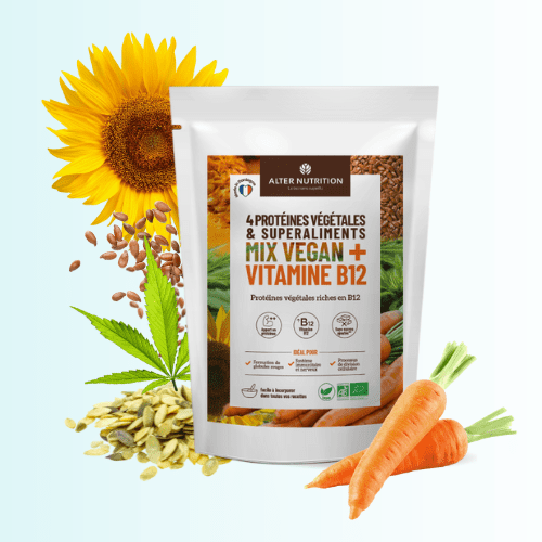 Protéines végétales vitamine B12